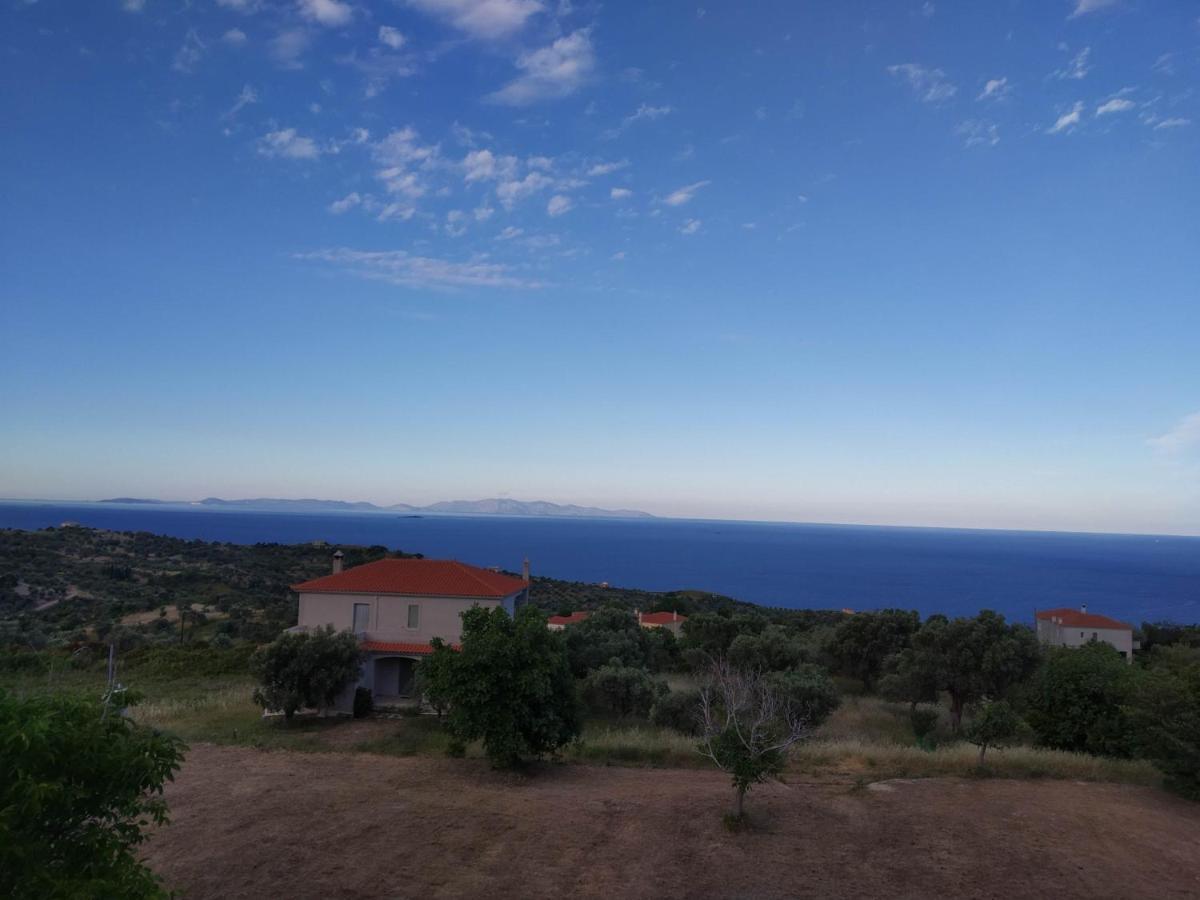Ellina'S Home - Euboea Island Greece Oxílithos エクステリア 写真