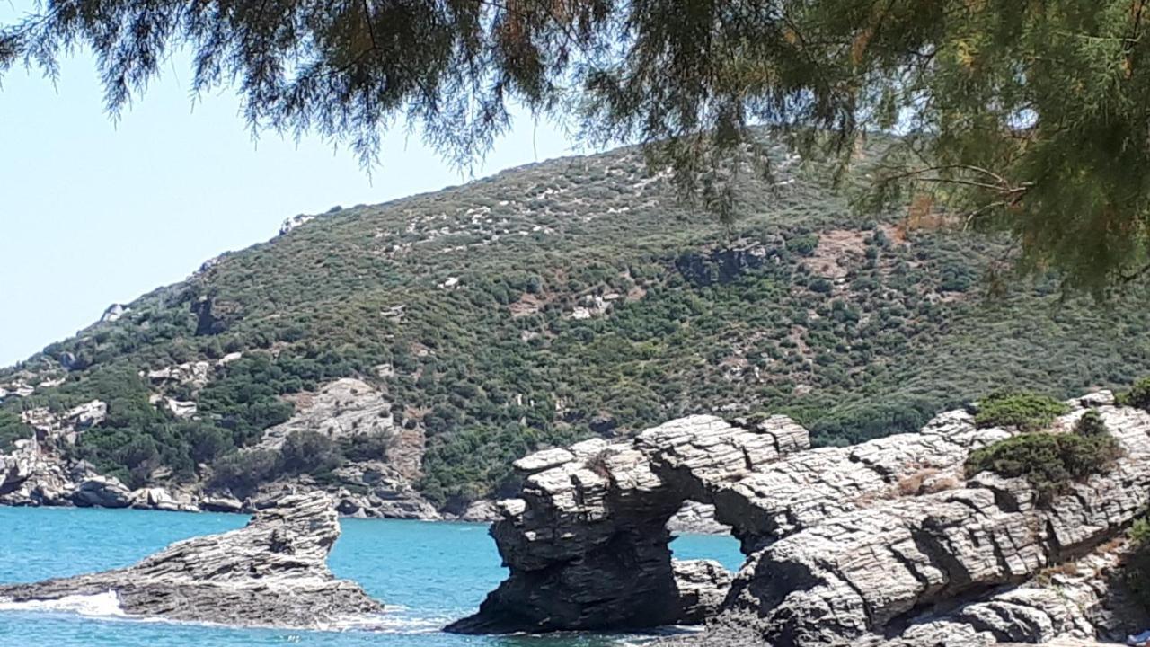 Ellina'S Home - Euboea Island Greece Oxílithos エクステリア 写真