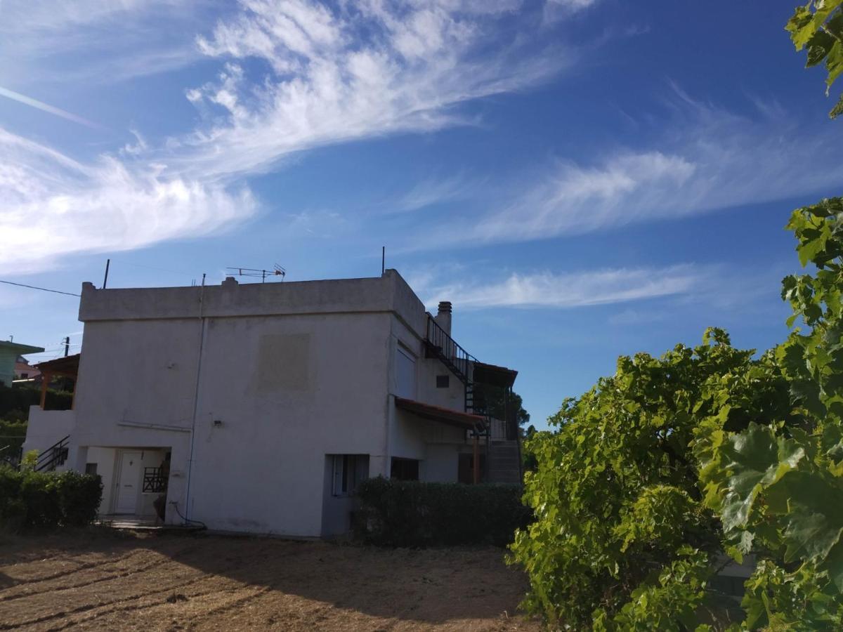 Ellina'S Home - Euboea Island Greece Oxílithos エクステリア 写真