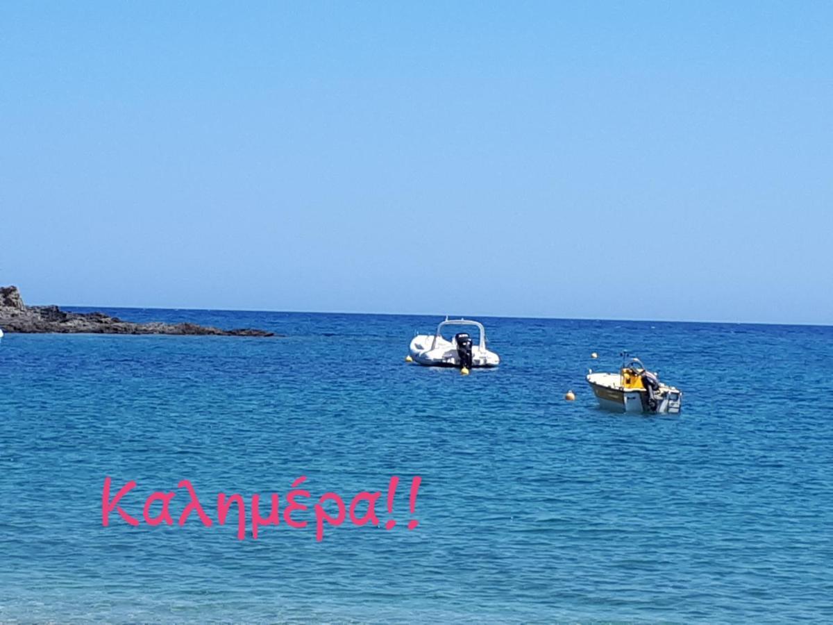 Ellina'S Home - Euboea Island Greece Oxílithos エクステリア 写真