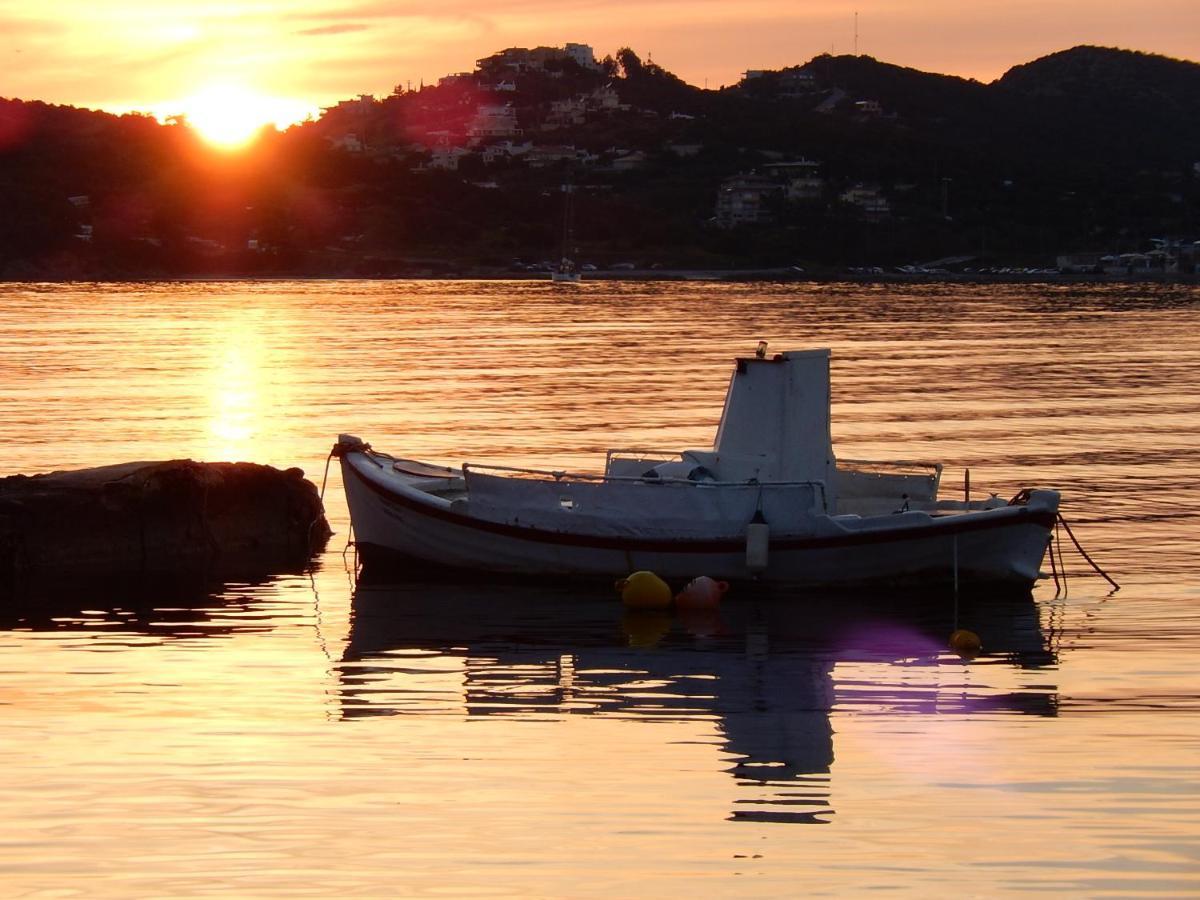 Ellina'S Home - Euboea Island Greece Oxílithos エクステリア 写真